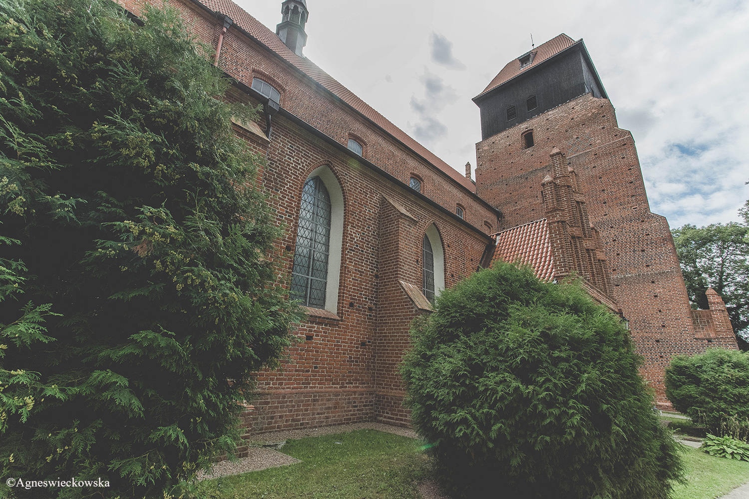 Kolegiata w Nowym Stawie – Bazylika Żuławska.