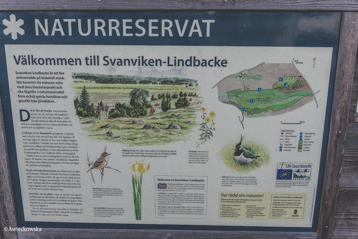 Tajemniczy labirynt w Nyköping.