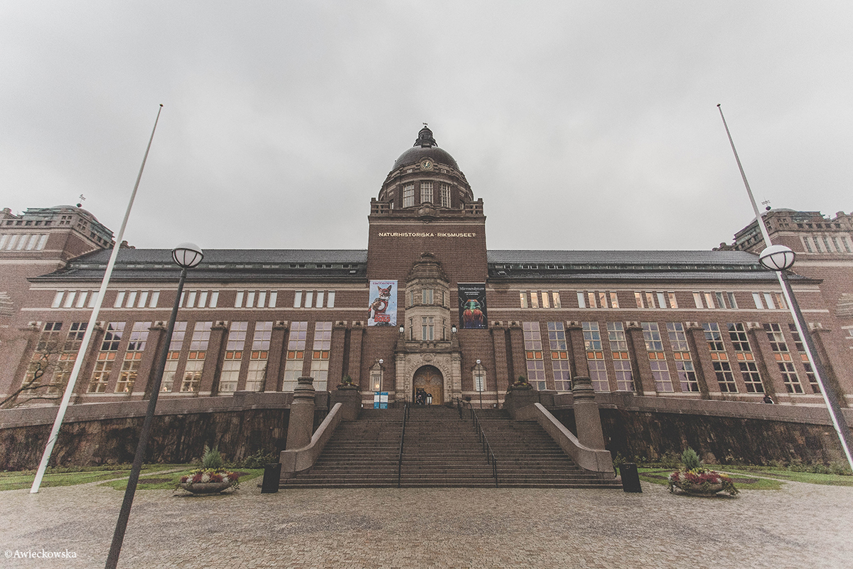 Muzeum Historii Naturalnej w Sztokholmie.